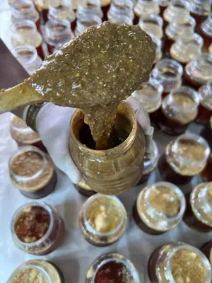 معجون درمان دیابت ترکیب 16 گیاه +10 گرم ژل رویال درمان دیابت به روش طب سنتی هندی و ایرانی(مشاوره 09179326254)
